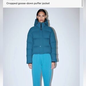 Aritzia Shorty Super Puff